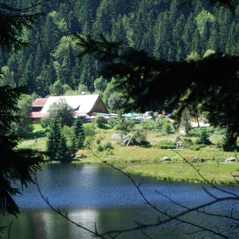Hotel/Restaurant